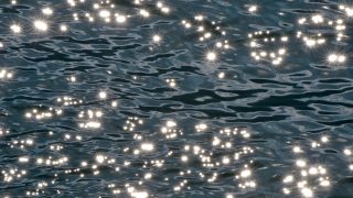 wave-3670600_960_720 wave-3670600_960_720